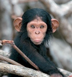 Вся правда о положении кавказцев в России.