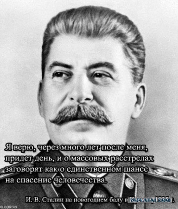 Путин достал... нациков за Бирюлево