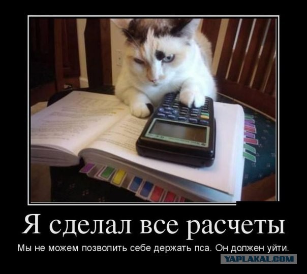 Бухгалтерии псто!