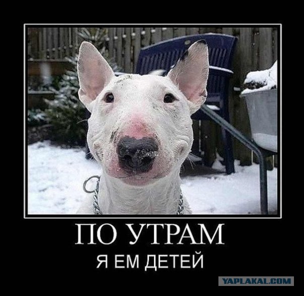 Улыбаемся..