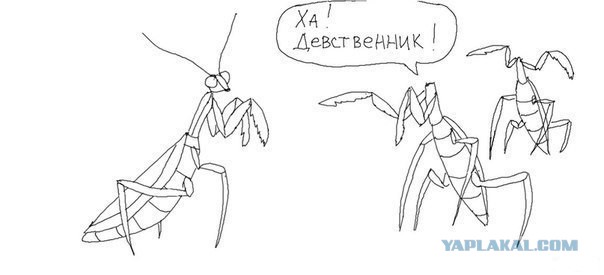 Легкой наркомании пост