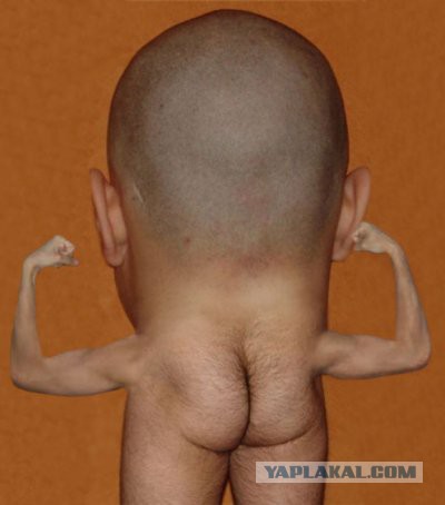 Жопорукство