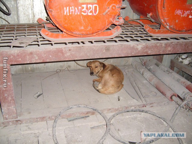Шахта