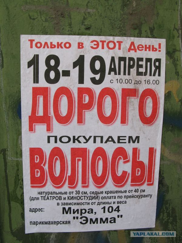 Почему забивается канализация