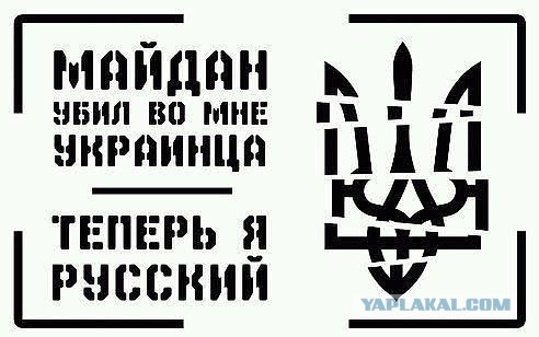 А ты проверил результаты победы Порошенко?
