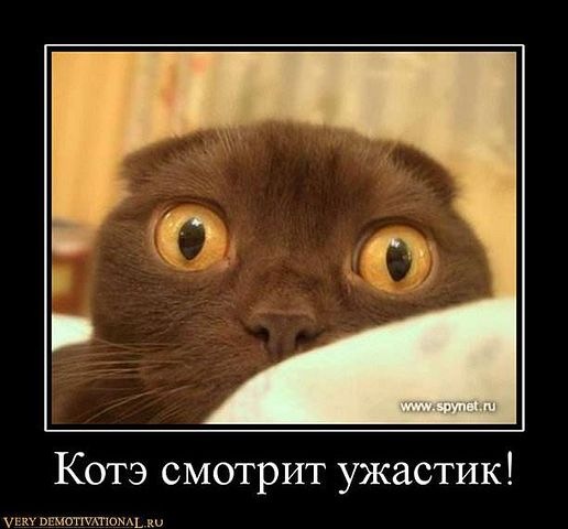 Комментарии из социальных сетей