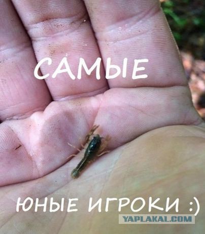 Wargaming 12, WoT сотоварищи