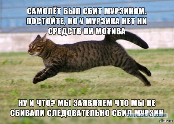 Доклад главе ЦРУ