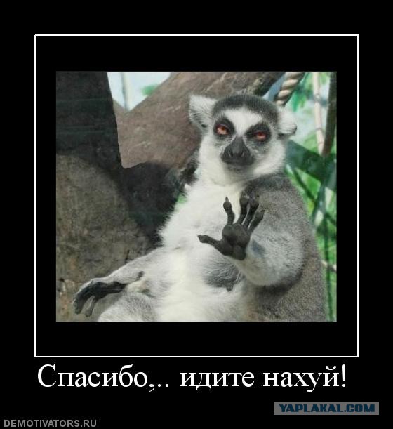 Бесконечная история