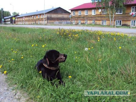 Не прошло и полгода