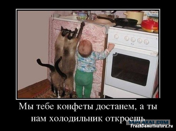 Смешные комментарии