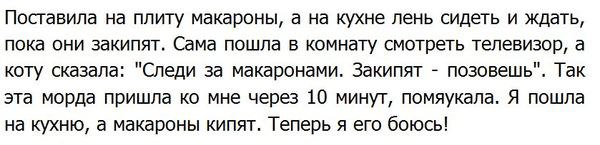 Веселые картинки
