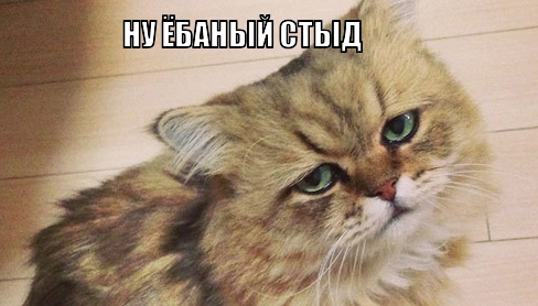 Апокалипсис не за горами. Очередной.......