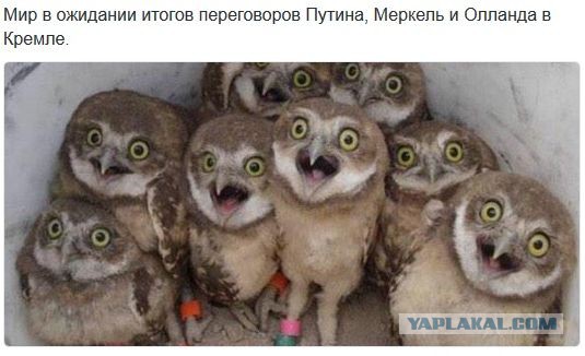 Перемирие кончилось, едва начавшись.