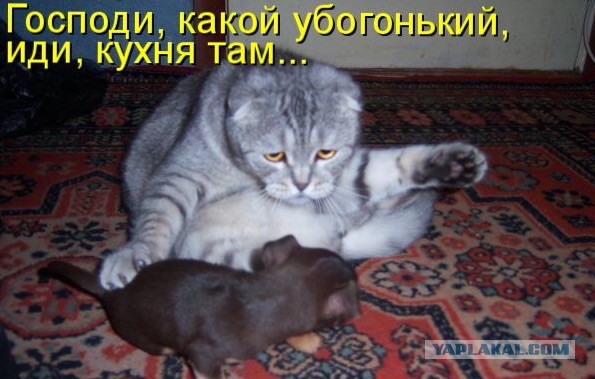 На хоккейных матчах в Риге гимн России