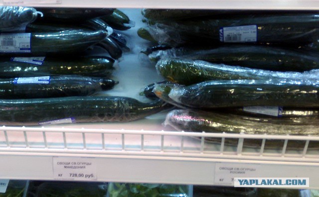 6 традиционных супов русской национальной кухни
