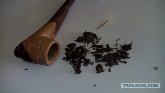 Поездка в Доминиканскую Республику!