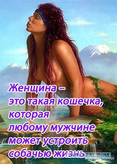 Картинок пачка
