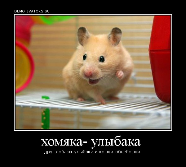 Как бы вас звали у индейцев