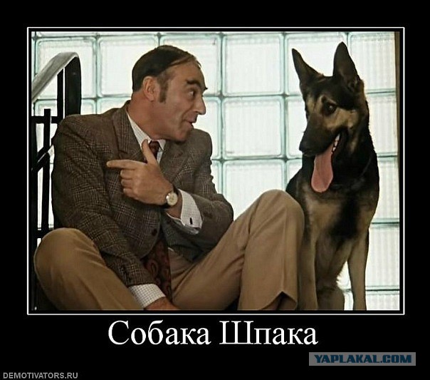 А что, собакочетверг отменили?