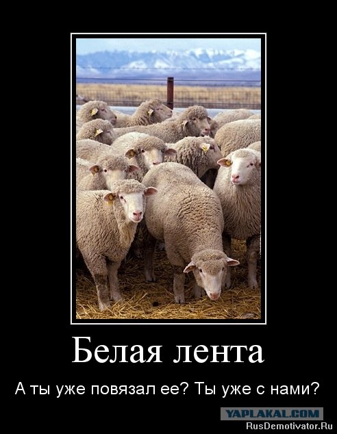 Митинг 10 декабря