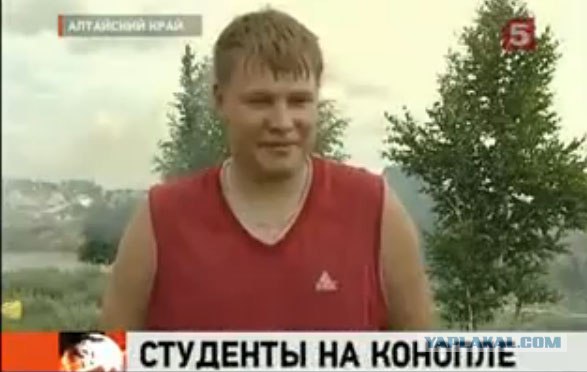 И не придерёшься...