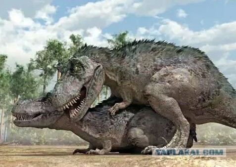 5 новых фактов о динозаврах