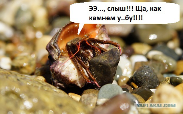 На машине в Абхазию