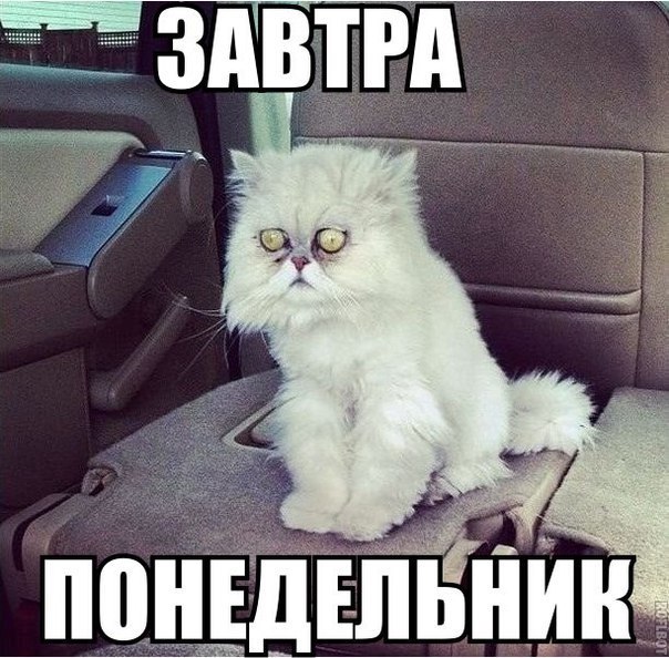 Картинки на субботу