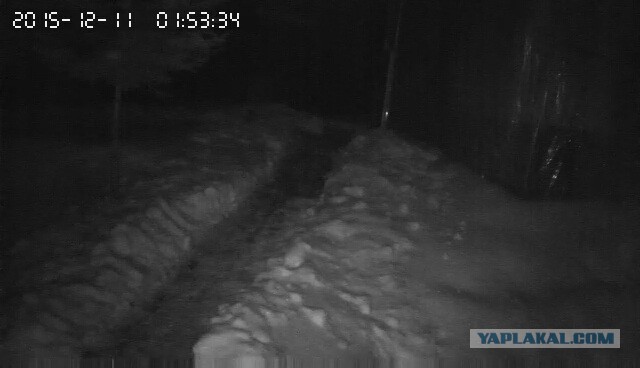 За что я люблю китайцев