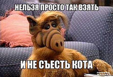Воу воу воу! Раб, палехше а