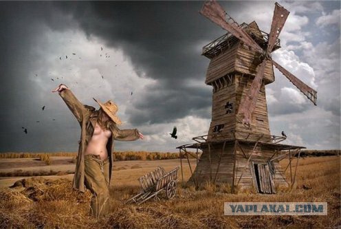 Подборка идиотских фотографий