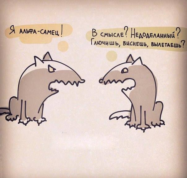 Смешные комментарии из социальных сетей