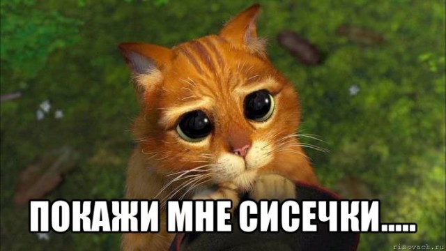 Когда день не задался