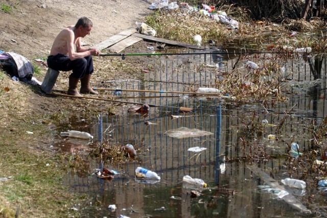 Подборка интересных и веселых картинок