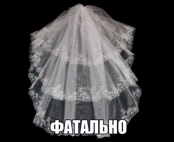 Подборка интересных и веселых картинок