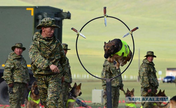 Монгольские пограничники