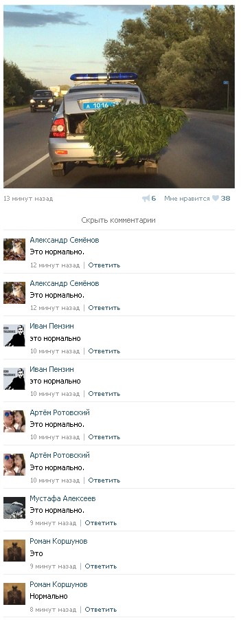 Ужасы и приколы из соцсетей 18+