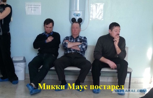 Порция картинок из сети