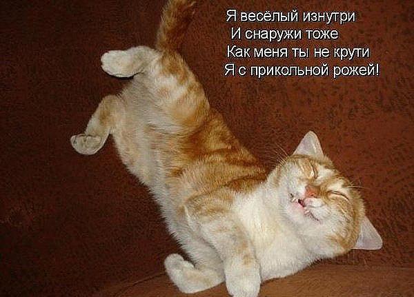 Прикольные животные