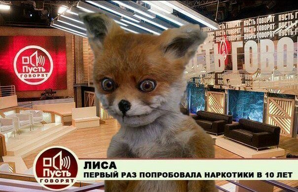 Наркоман, штоле? Тогда заходи