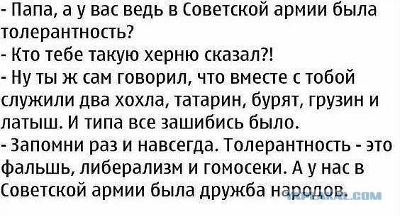 Порция картинок из сети