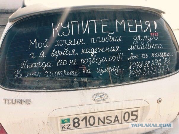 Порция картинок из сети