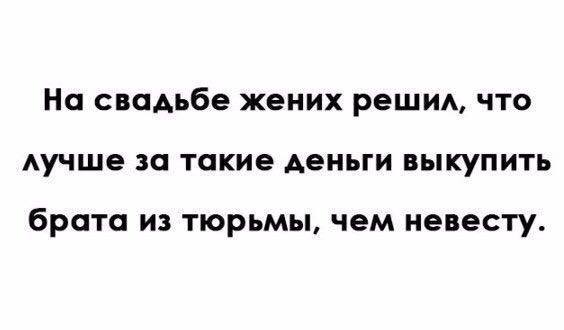 Подборка перлов и высказываний