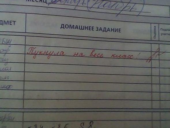 Замечания в дневниках