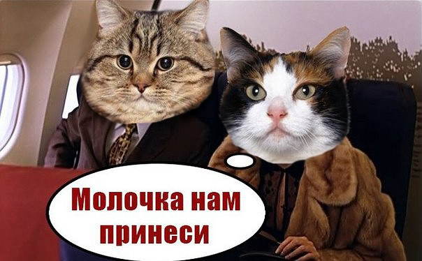 Праздник длиною в жизнь