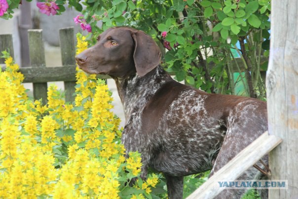 Вещи, которые превращают женщину в бабу