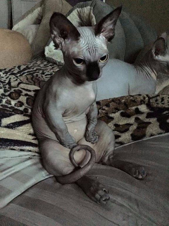 И грустно и смешно