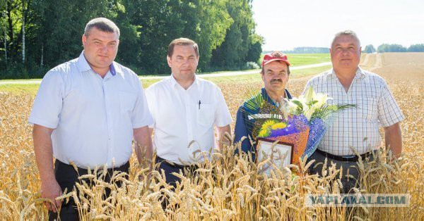 Как выращивают картошку в Германии
