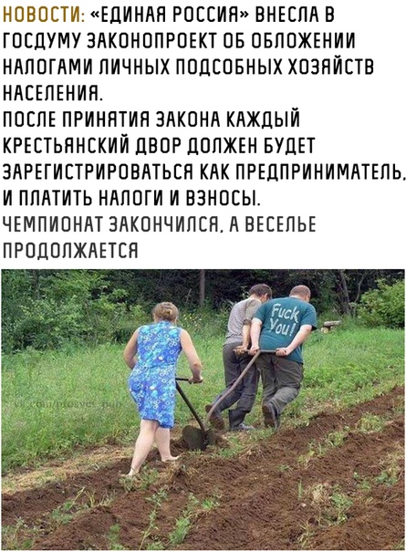 Прикольные комментарии и высказывания из Сети